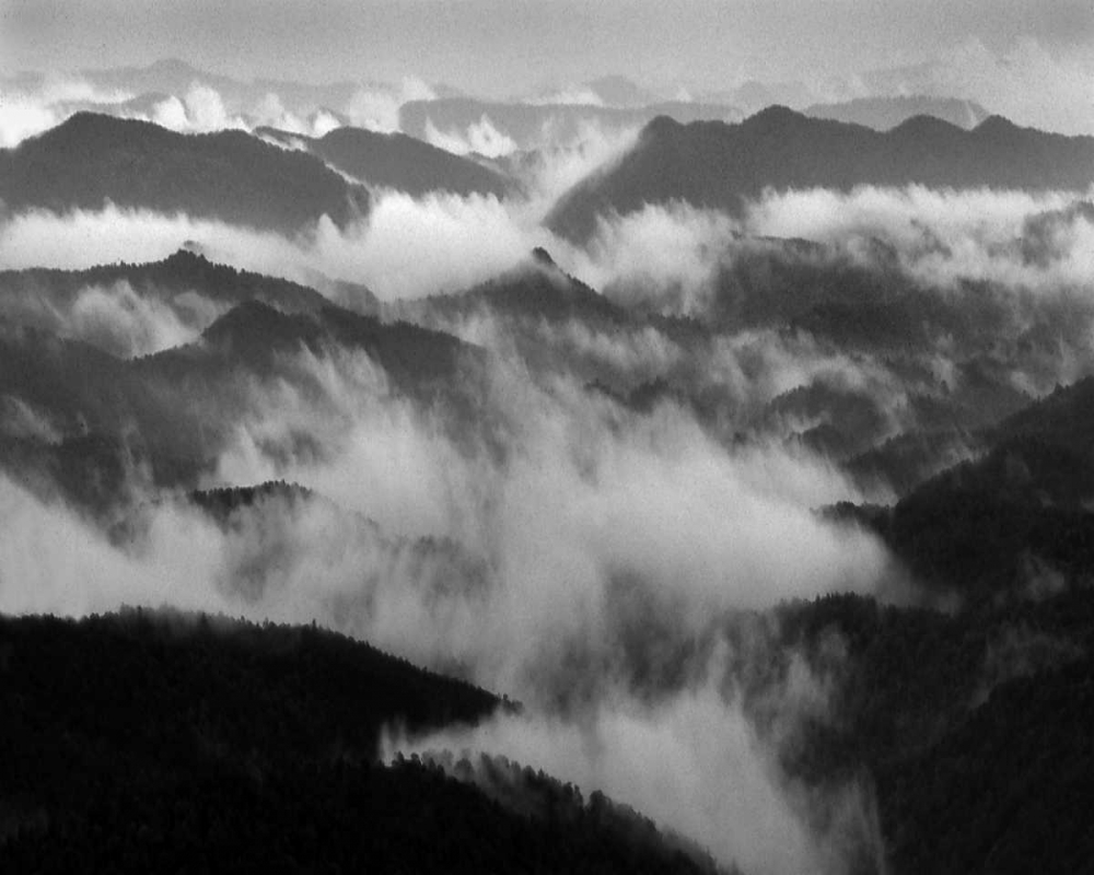 Smokey Mountains II art print by Scott Larson for $57.95 CAD