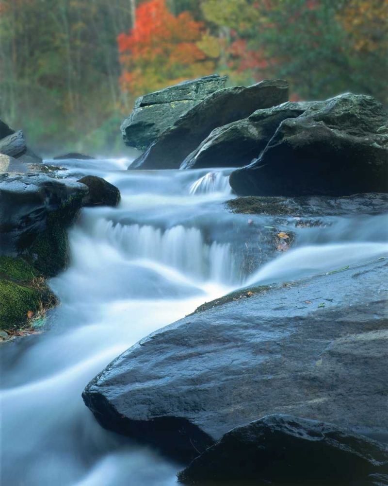Moving Water III art print by Scott Larson for $57.95 CAD