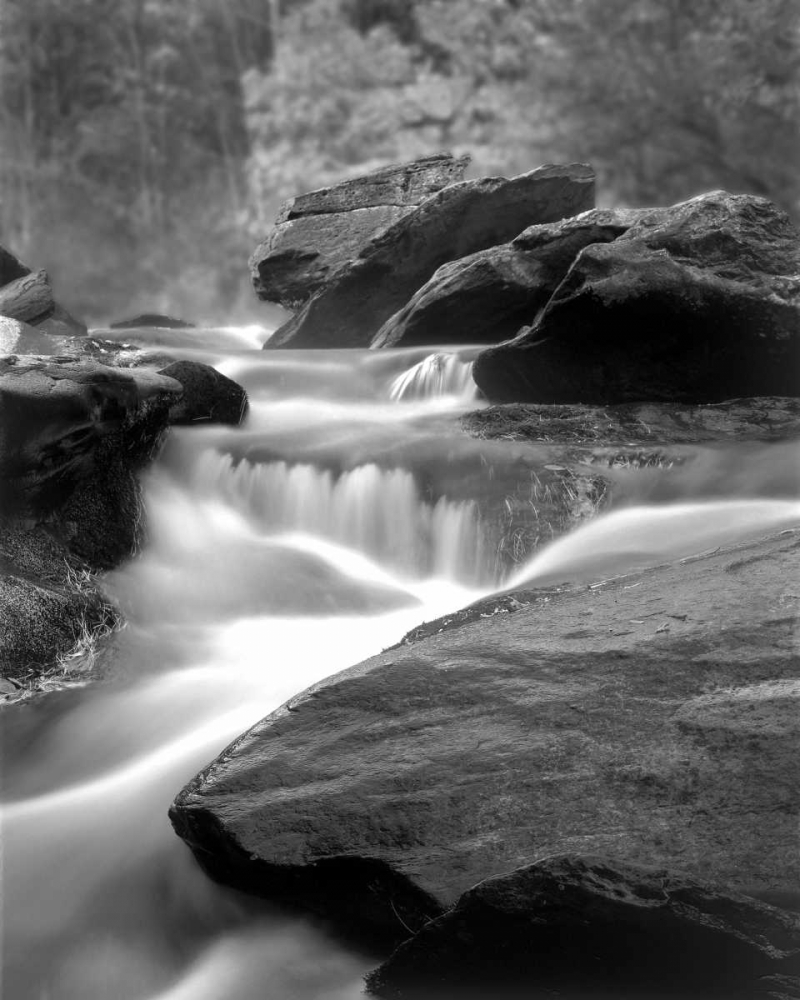 Moving Water IV art print by Scott Larson for $57.95 CAD