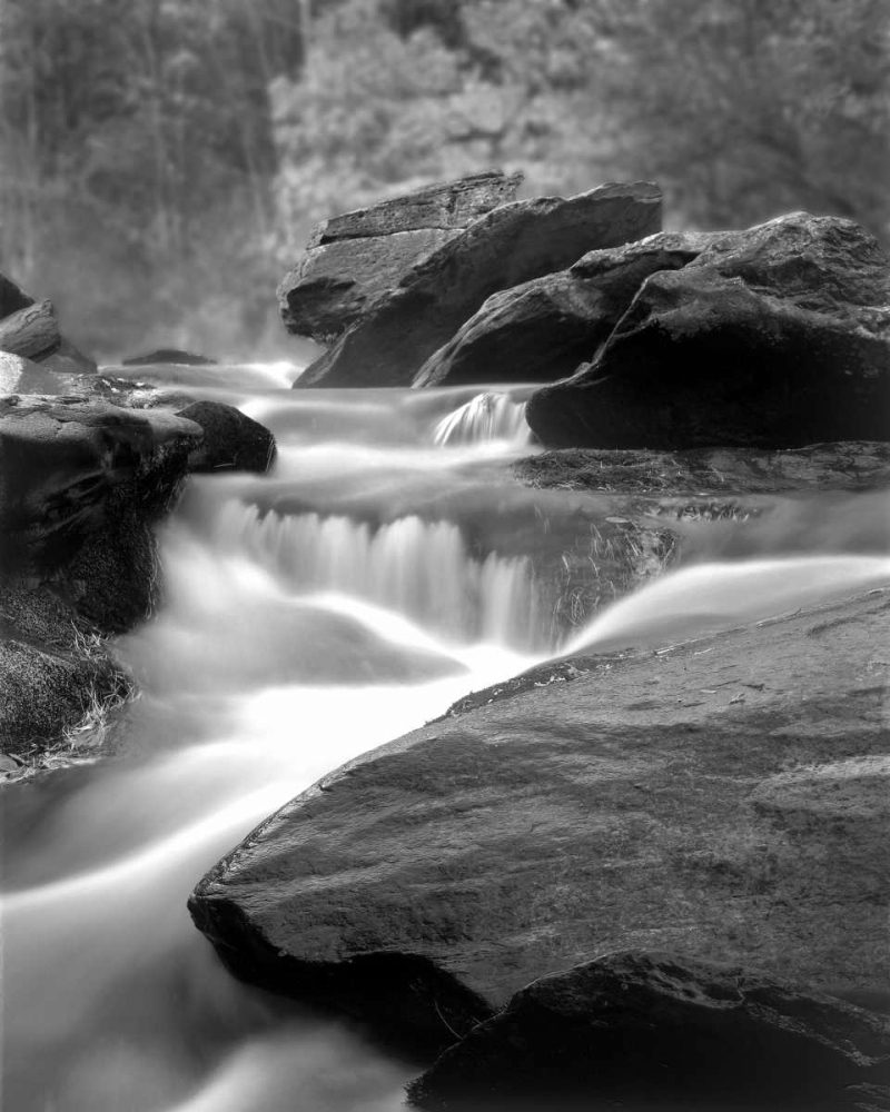 Moving Water IV art print by Scott Larson for $57.95 CAD