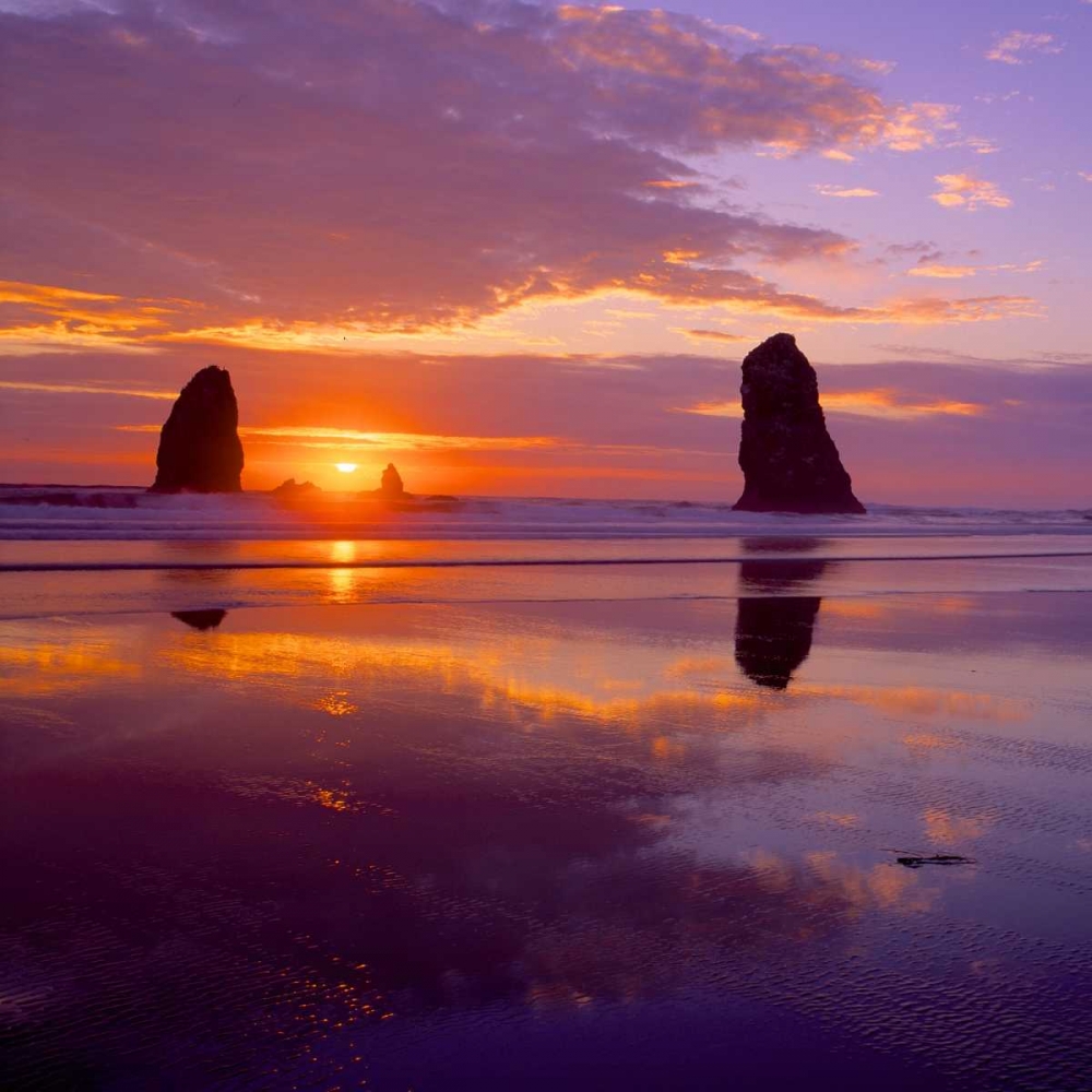 Cannon Beach VIII art print by Ike Leahy for $57.95 CAD