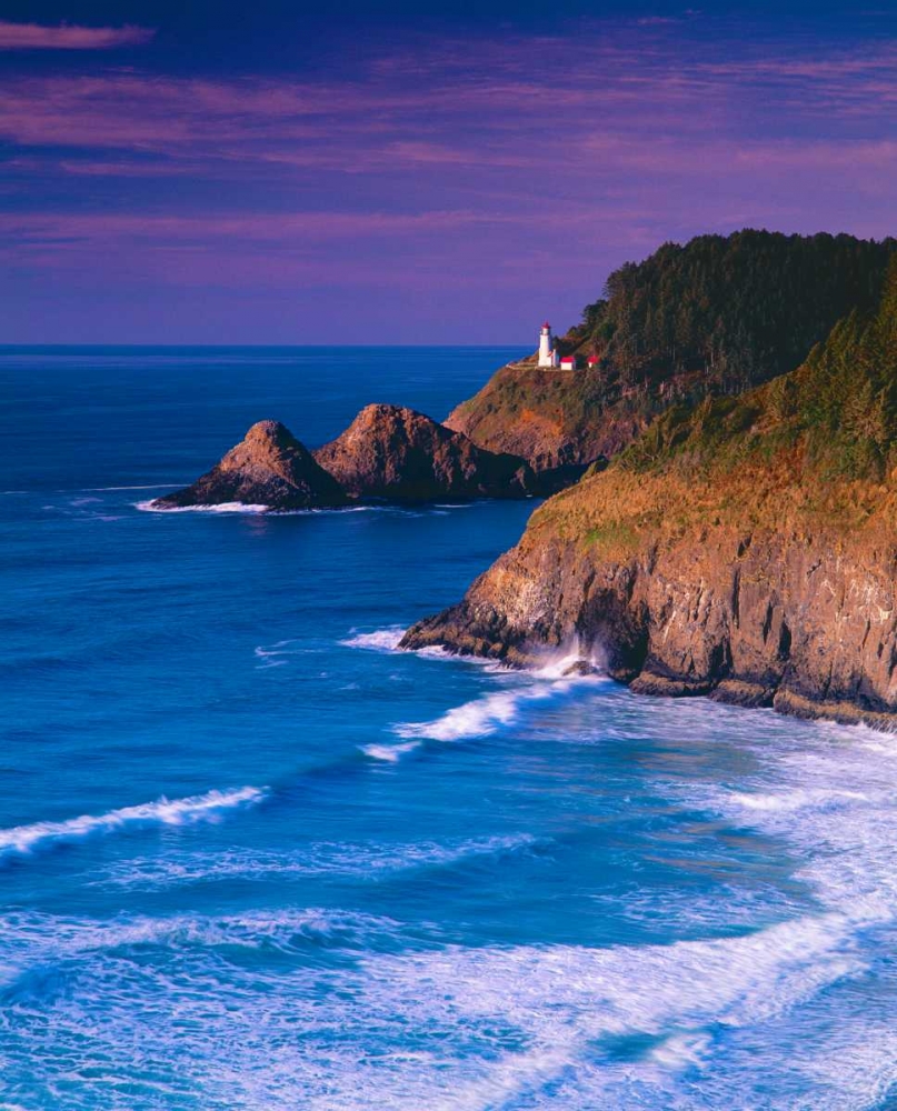 Heceta Head Lighthouse art print by Ike Leahy for $57.95 CAD