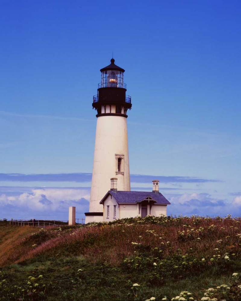 Newport Lighthouse art print by Ike Leahy for $57.95 CAD