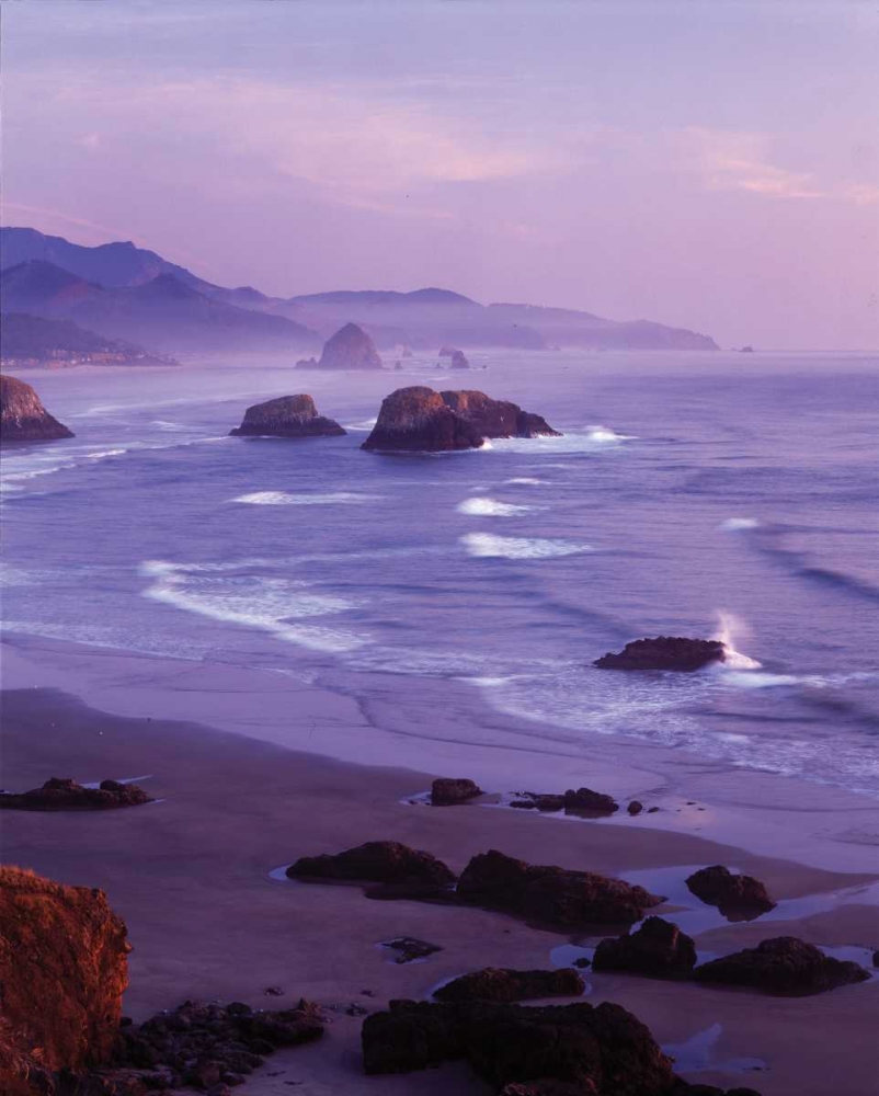 Ecola State Park I art print by Ike Leahy for $57.95 CAD
