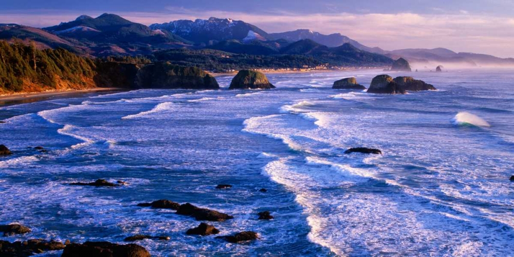 Ecola State Park IV art print by Ike Leahy for $57.95 CAD