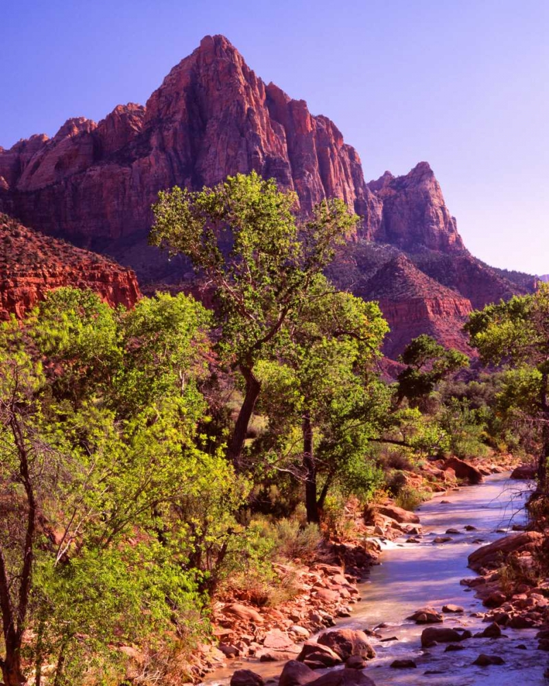 Zion National Park I art print by Ike Leahy for $57.95 CAD