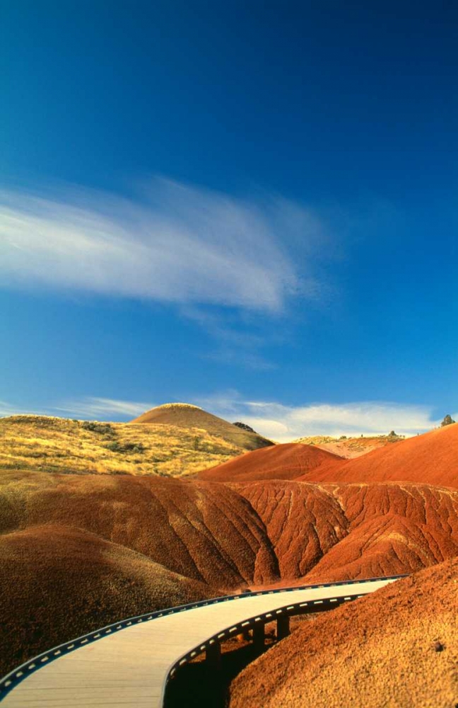 Painted Hills art print by Ike Leahy for $57.95 CAD