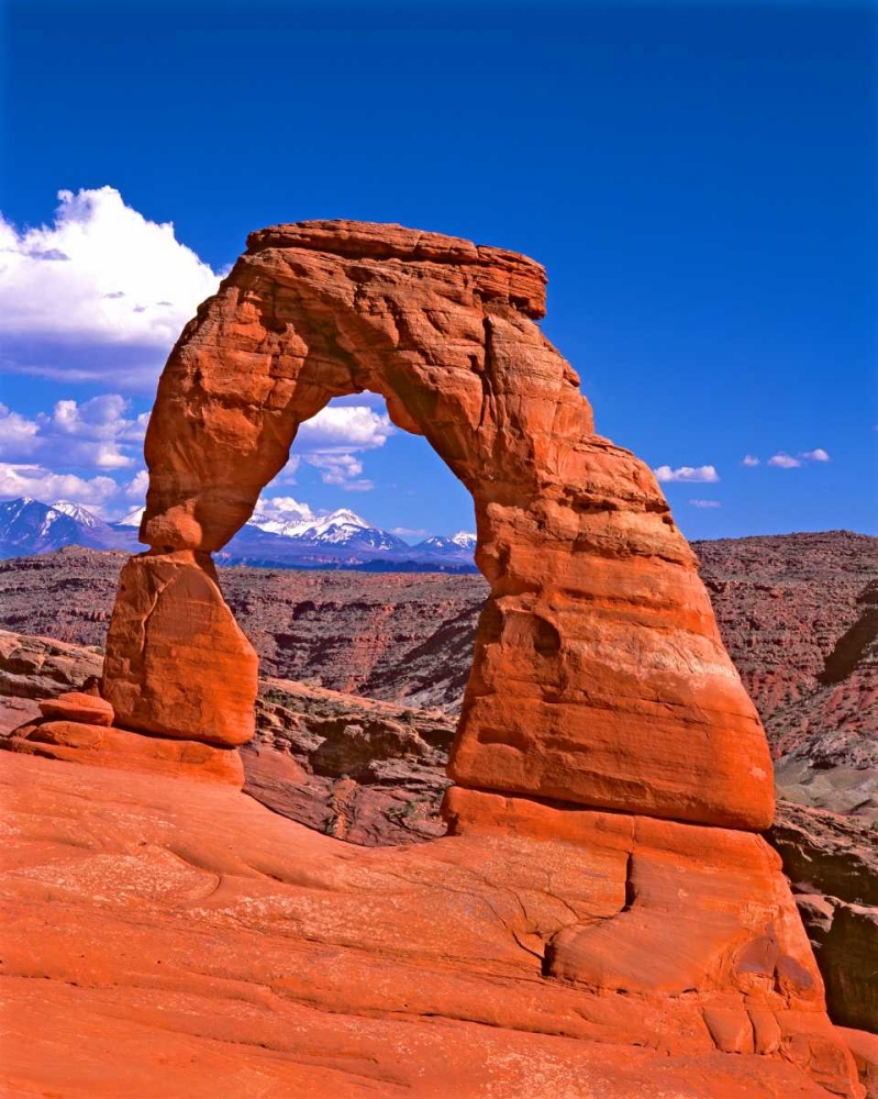 Arches National Park III art print by Ike Leahy for $57.95 CAD