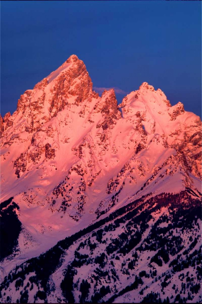 Grand Teton National Park III art print by Ike Leahy for $57.95 CAD
