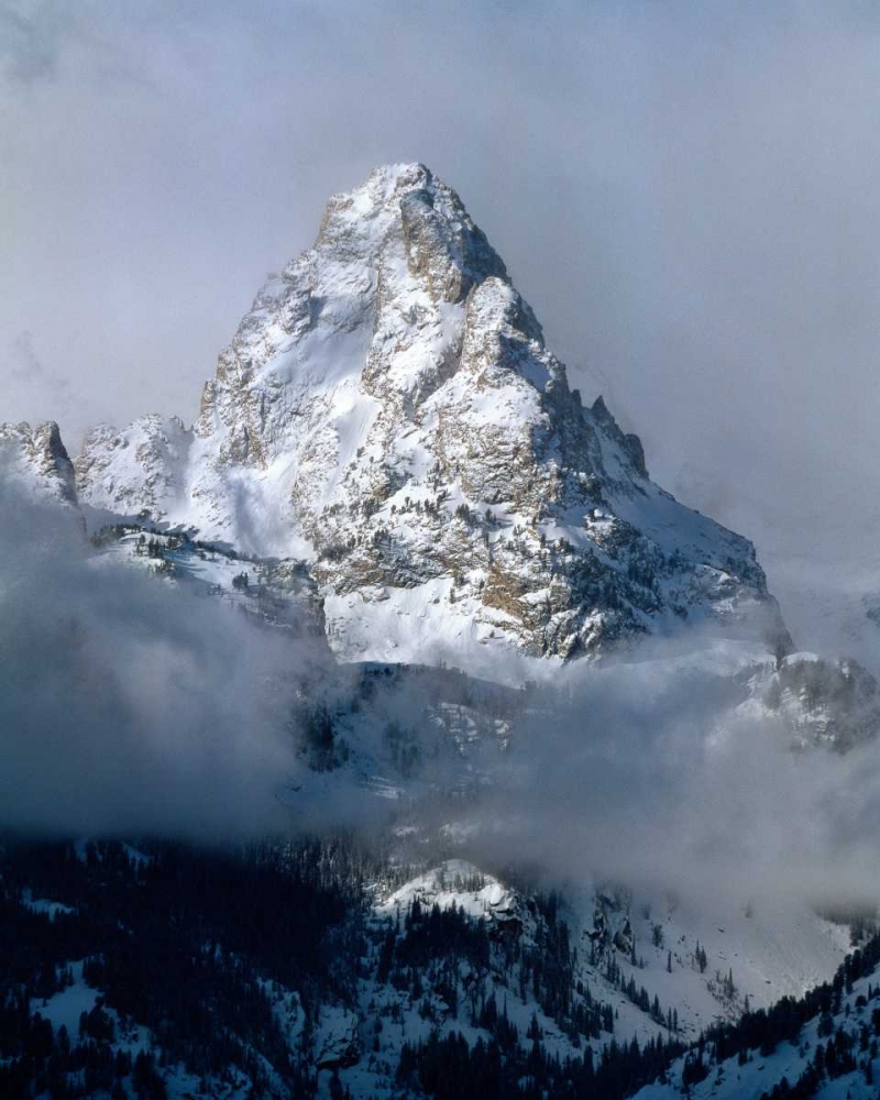 Grand Teton National Park IV art print by Ike Leahy for $57.95 CAD