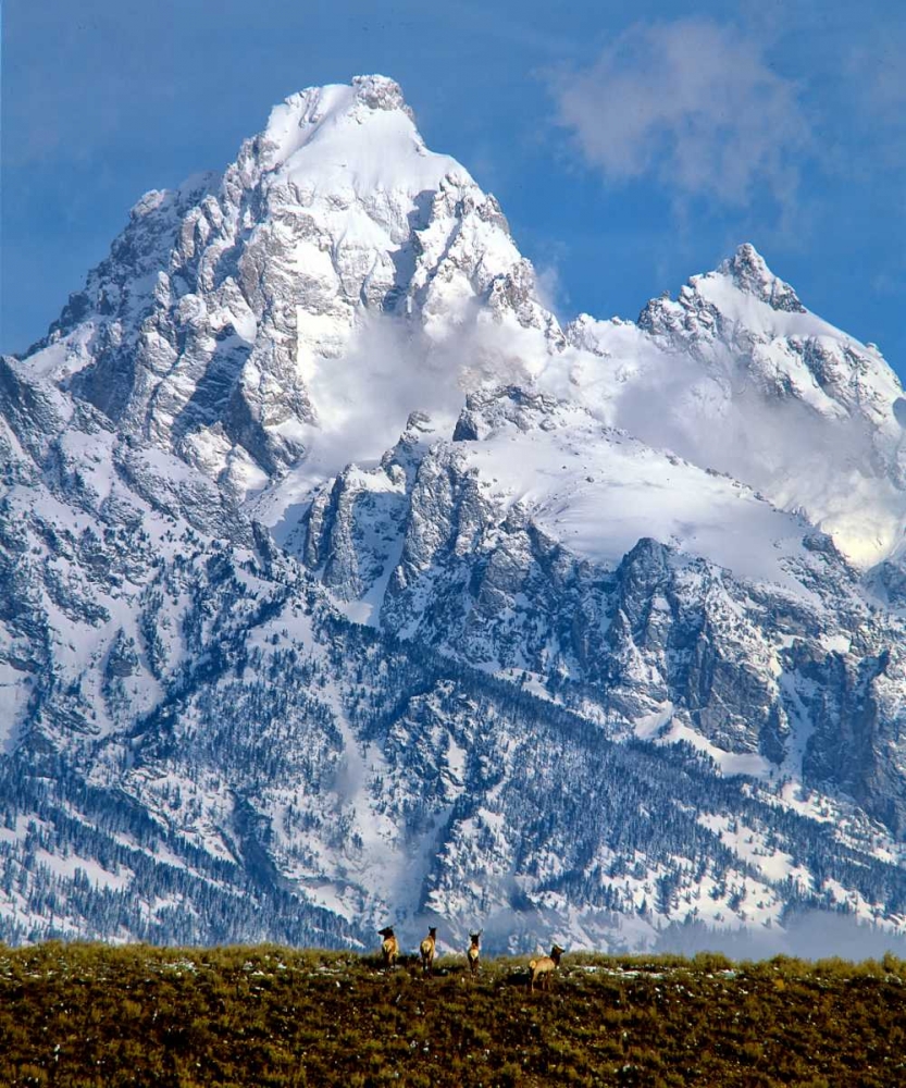 Grand Teton National Park V art print by Ike Leahy for $57.95 CAD