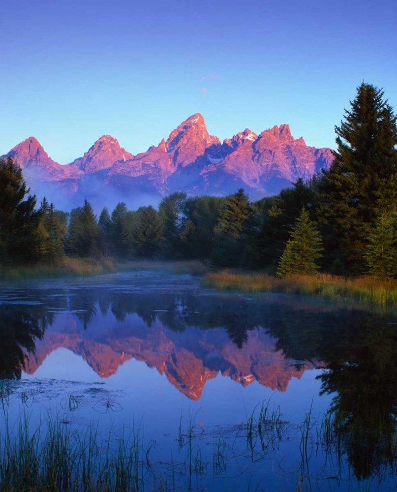 Grand Teton National Park VI art print by Ike Leahy for $57.95 CAD