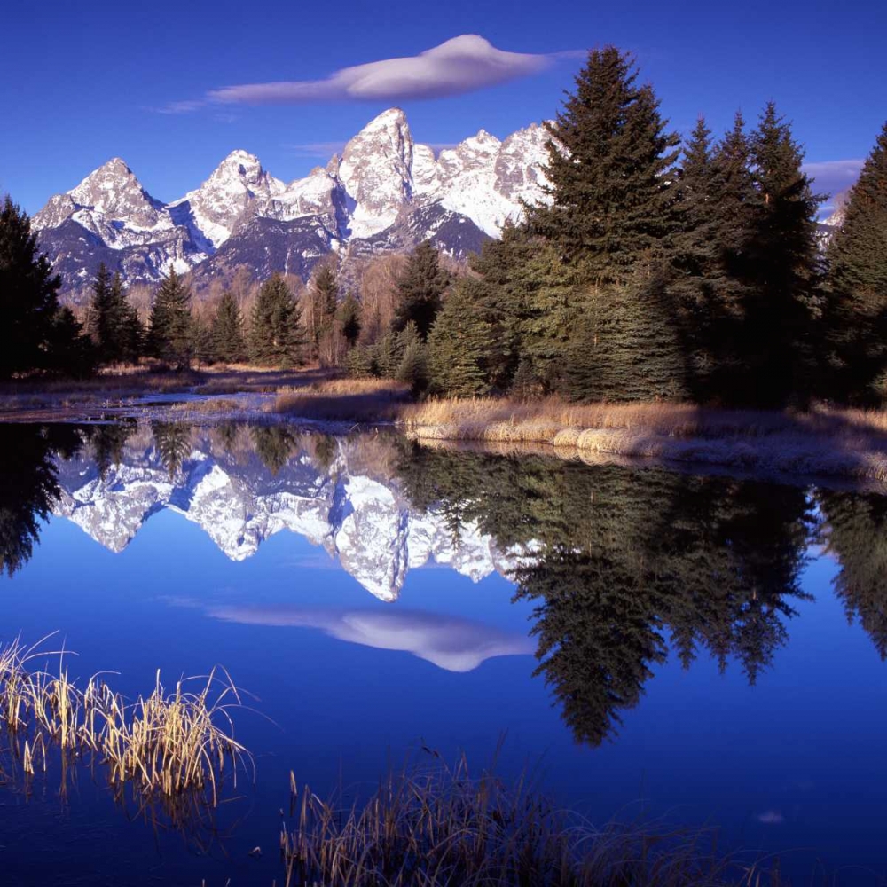Grand Teton National Park VII art print by Ike Leahy for $57.95 CAD