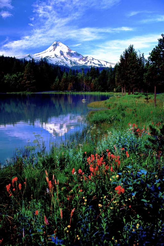 Mt. Hood III art print by Ike Leahy for $57.95 CAD