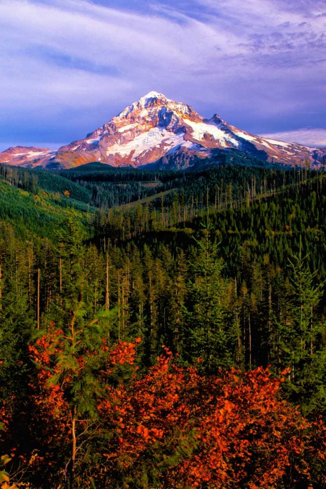 Mt. Hood IV art print by Ike Leahy for $57.95 CAD