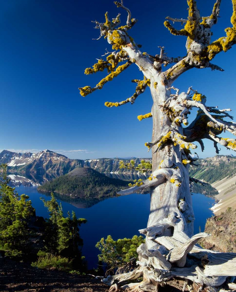 Crater Lake I art print by Ike Leahy for $57.95 CAD