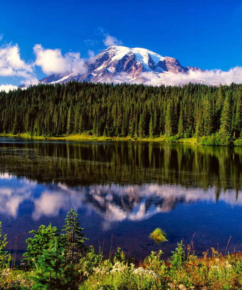 Mt. Rainer II art print by Ike Leahy for $57.95 CAD
