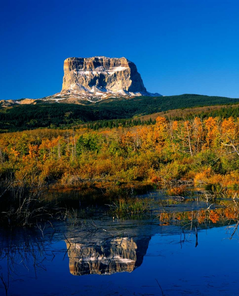 Glacier National Park III art print by Ike Leahy for $57.95 CAD