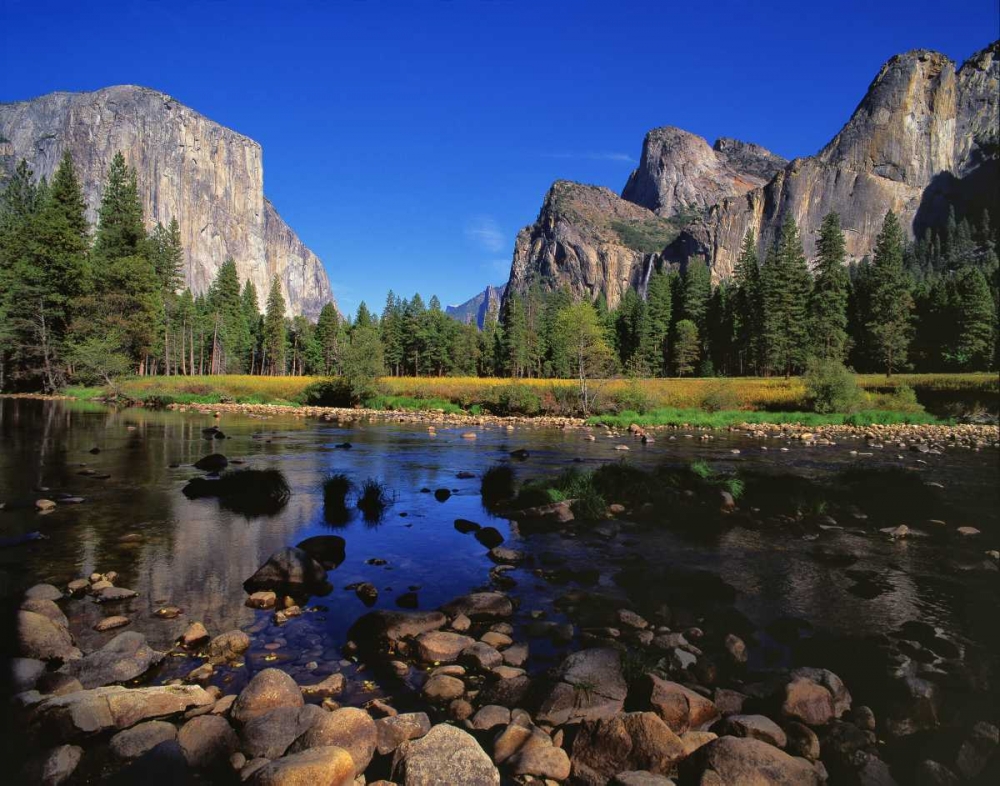 Yosemite II art print by Ike Leahy for $57.95 CAD