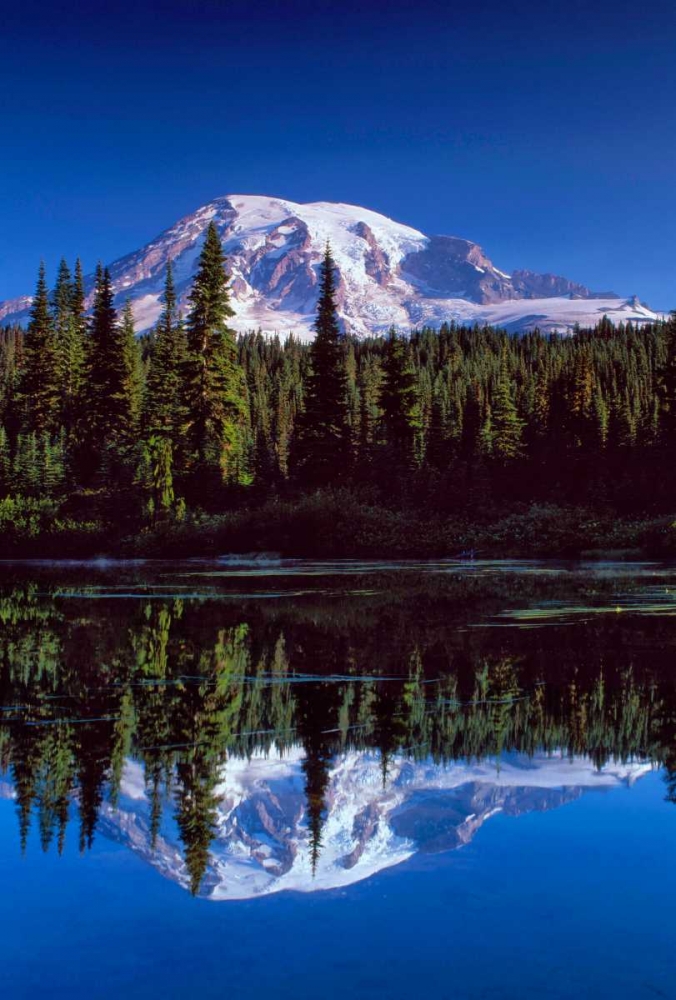 Mt. Rainier III art print by Ike Leahy for $57.95 CAD