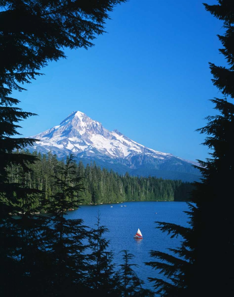 Mt. Hood VI art print by Ike Leahy for $57.95 CAD