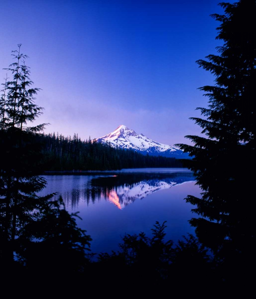 Mt. Hood VII art print by Ike Leahy for $57.95 CAD