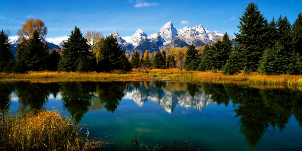 Grand Teton National Park XI art print by Ike Leahy for $57.95 CAD