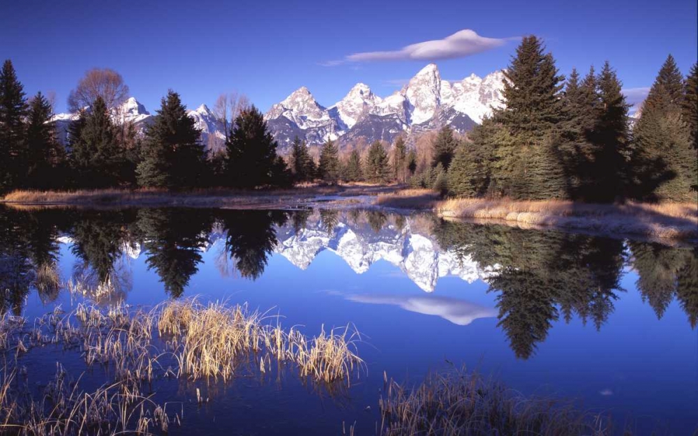 Grand Teton National Park XII art print by Ike Leahy for $57.95 CAD