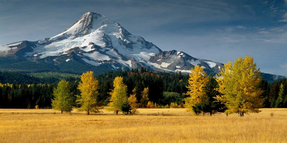 Mt. Hood IX art print by Ike Leahy for $57.95 CAD