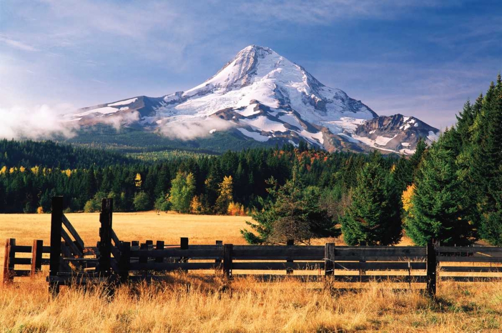 Mt. Hood X art print by Ike Leahy for $57.95 CAD