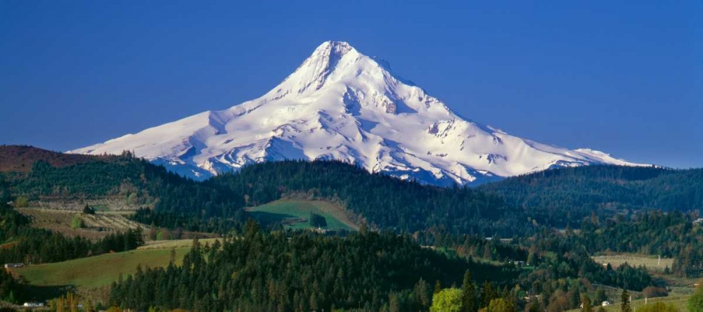 Mt. Hood XI art print by Ike Leahy for $57.95 CAD
