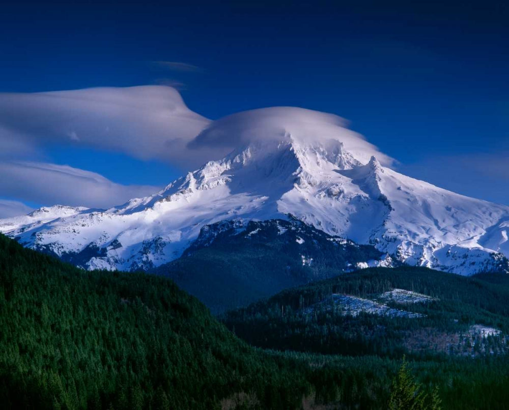 Mt. Hood XII art print by Ike Leahy for $57.95 CAD