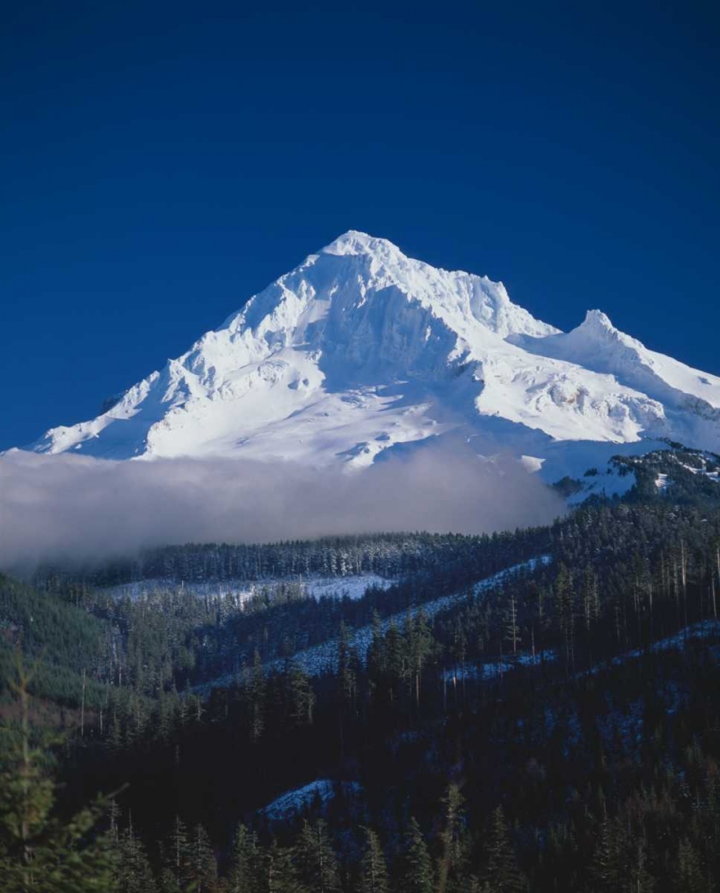 Mt. Hood XIII art print by Ike Leahy for $57.95 CAD