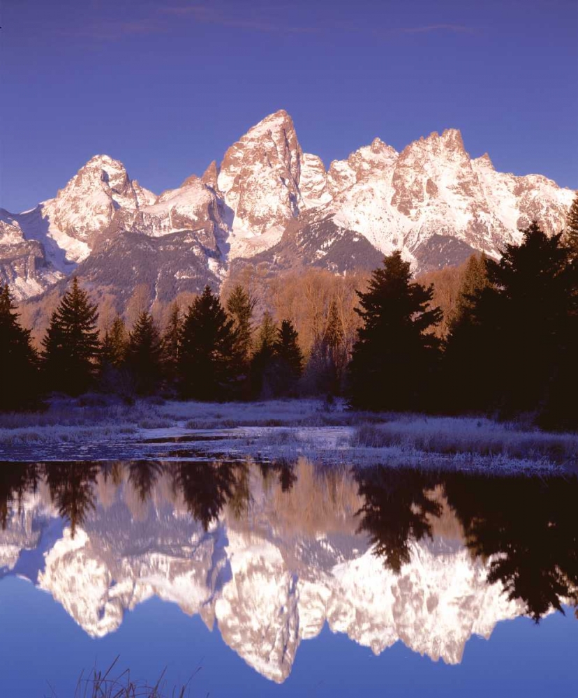 Grand Teton National Park XIII art print by Ike Leahy for $57.95 CAD