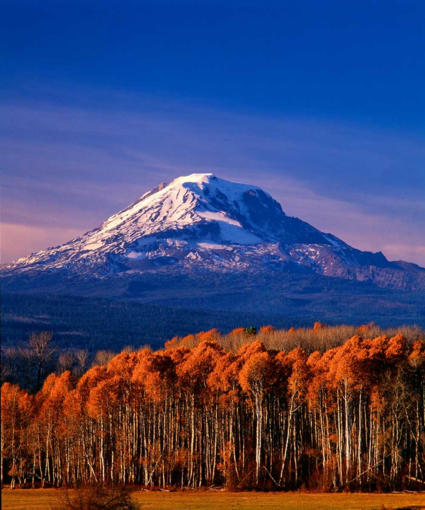 Mt. Adams III art print by Ike Leahy for $57.95 CAD