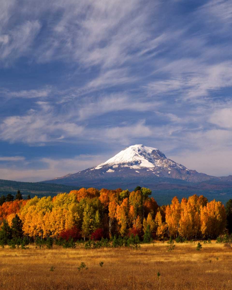 Mt. Adams IV art print by Ike Leahy for $57.95 CAD