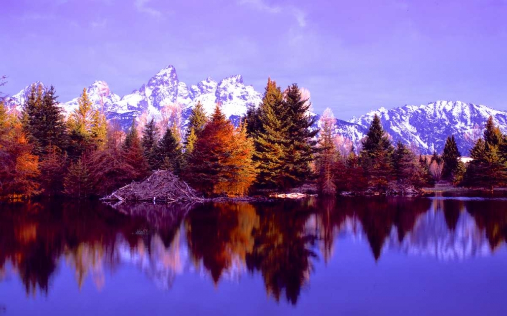 Grand Teton National Park XIV art print by Ike Leahy for $57.95 CAD