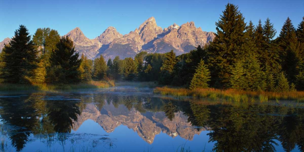 Grand Teton National Park XV art print by Ike Leahy for $57.95 CAD