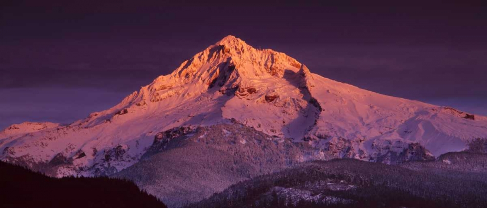 Mt. Hood XV art print by Ike Leahy for $57.95 CAD