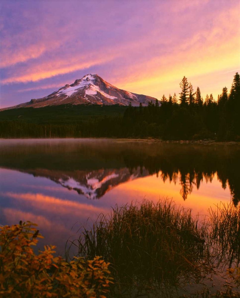 Mt. Hood XVI art print by Ike Leahy for $57.95 CAD