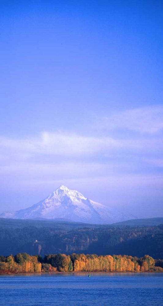 Mt. Hood XIX art print by Ike Leahy for $57.95 CAD