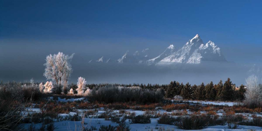 Grand Teton National Park XVII art print by Ike Leahy for $57.95 CAD