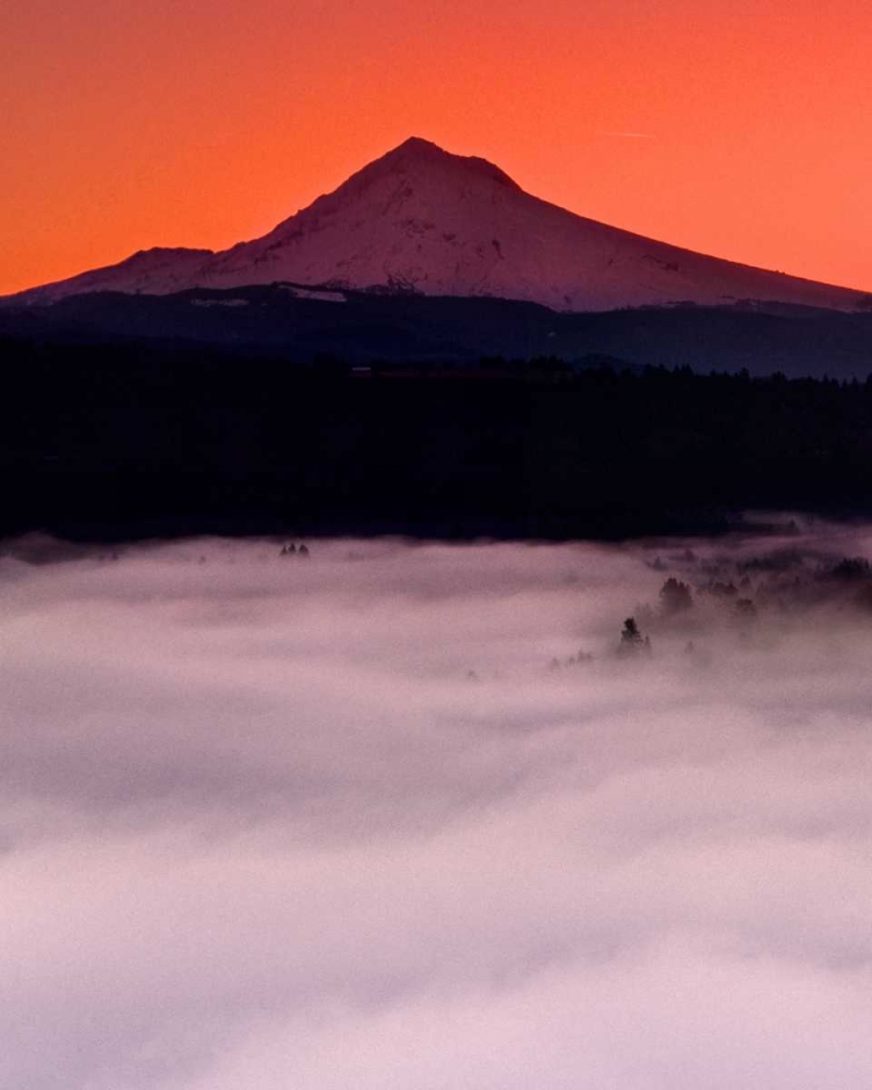 Mt. Hood XX art print by Ike Leahy for $57.95 CAD