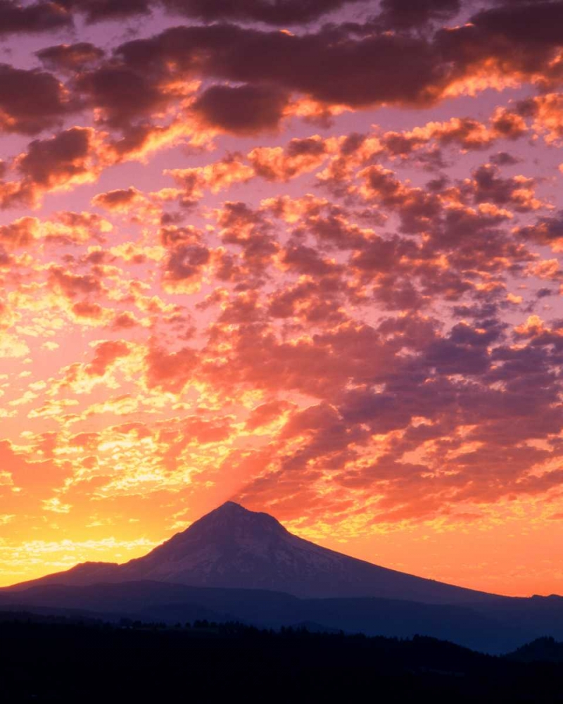 Mt. Hood XXII art print by Ike Leahy for $57.95 CAD