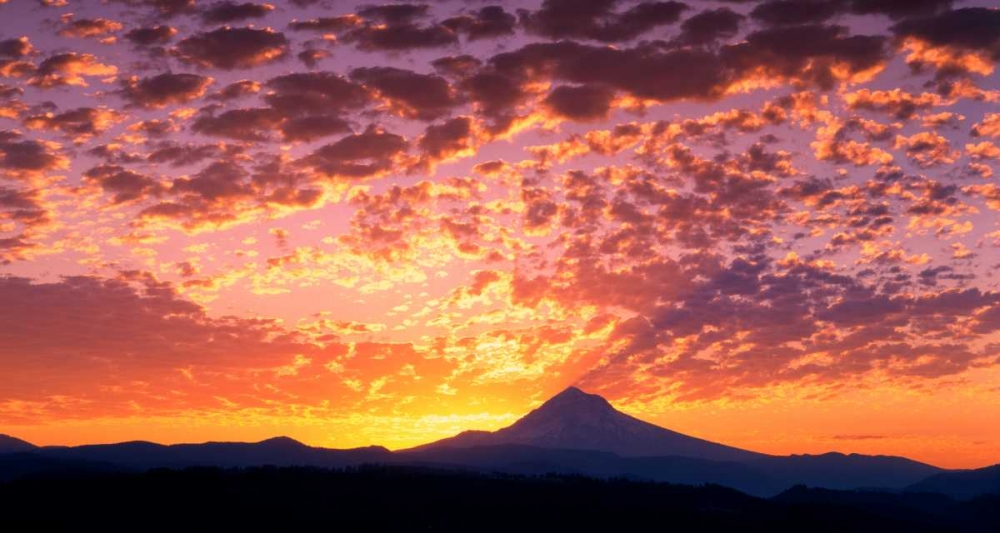 Mt. Hood XXIII art print by Ike Leahy for $57.95 CAD