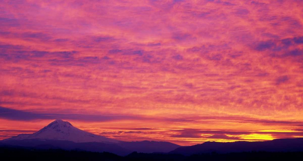 Mt. Hood XXV art print by Ike Leahy for $57.95 CAD