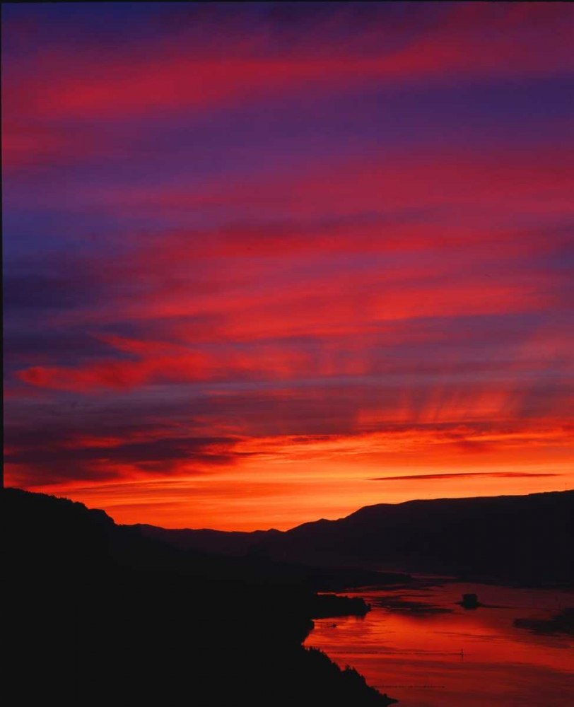 Columbia River Gorge IV art print by Ike Leahy for $57.95 CAD