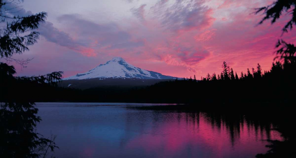 Mt. Hood XXX art print by Ike Leahy for $57.95 CAD
