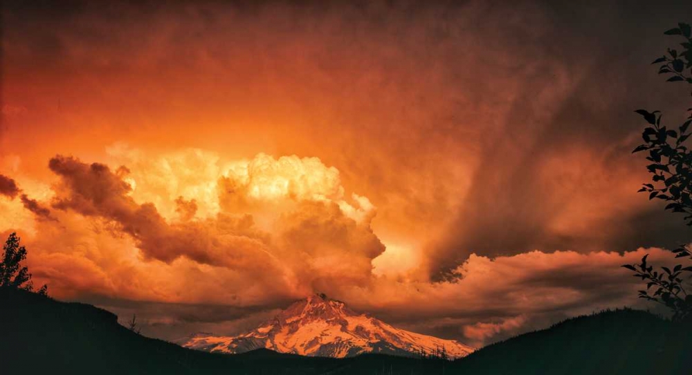 Mt. Hood XXXI art print by Ike Leahy for $57.95 CAD