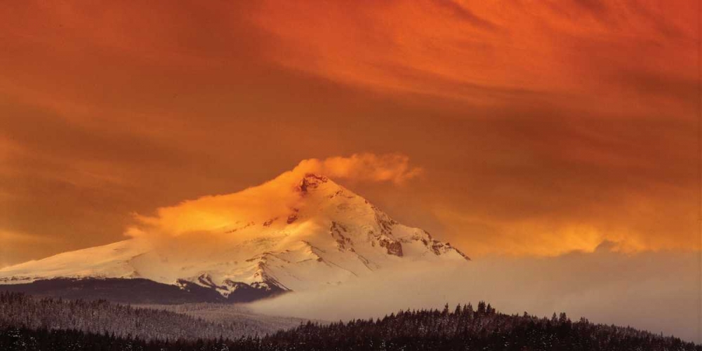 Mt. Hood XXXII art print by Ike Leahy for $57.95 CAD